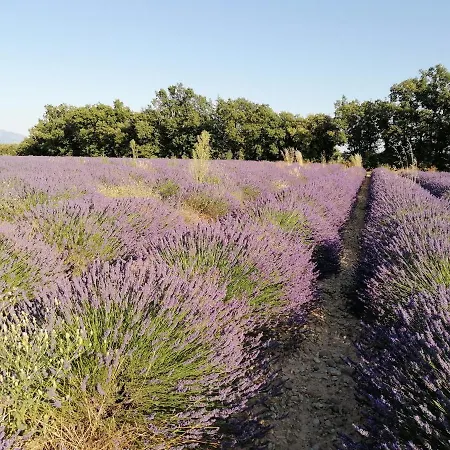 Gites Lou Limbert Valensole Exterior photo